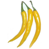 Cayenne golden (semená)