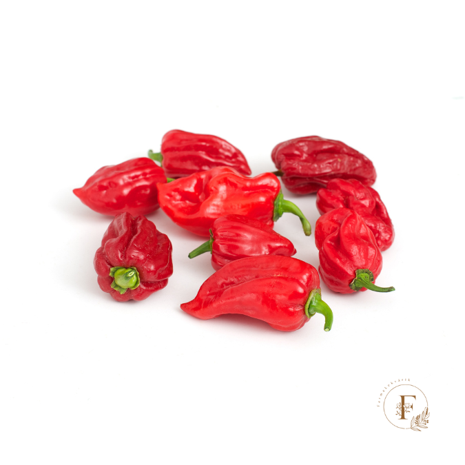 Habanero red  (semená) chilli