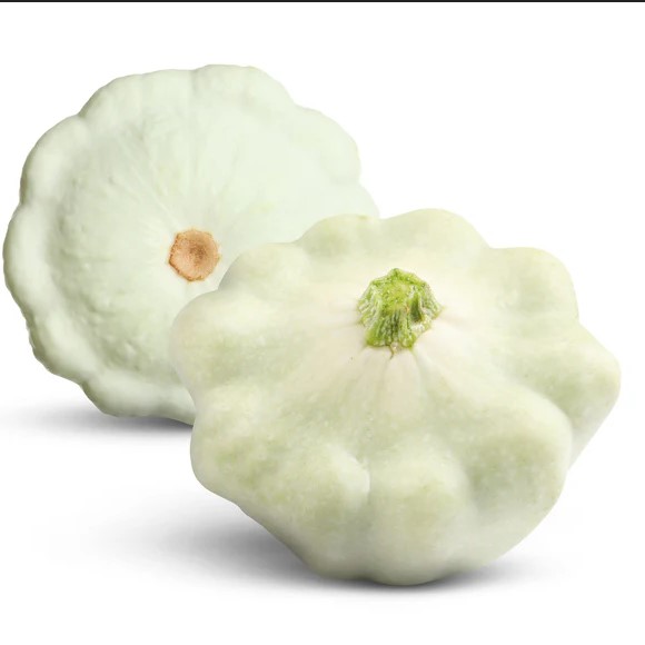 Patty pan white (semená) patizón