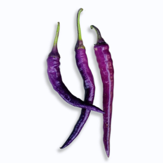 Cayenne purple (semená)